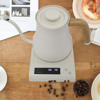 700 میلی لیتر کتری برقی استیل ضد زنگ ژاپنی کتری آب داغ بریزید روی قهوه قطره ای کتری گردن غاز